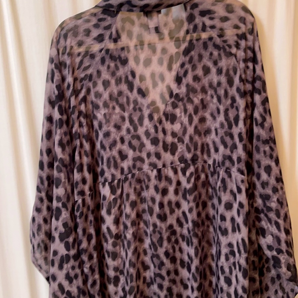 Fabulous Sheer Blouse Size 3 - Picture 4 of 5